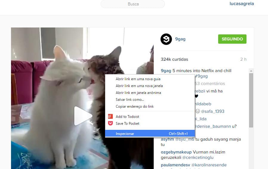5 Melhores Downloaders Do Pornhub E Como Us Los Para Baixar V Deos Do 5 Melhores Downloaders Do Pornhub E Como Us Los Para Baixar V Deos Do