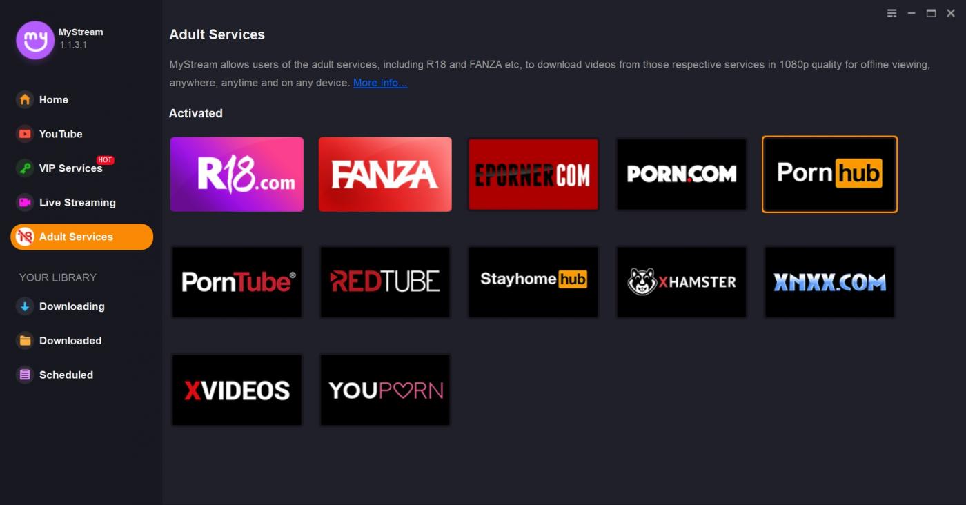 9 Best Pornhub Downloaders Review 9 Best Pornhub Downloaders Review