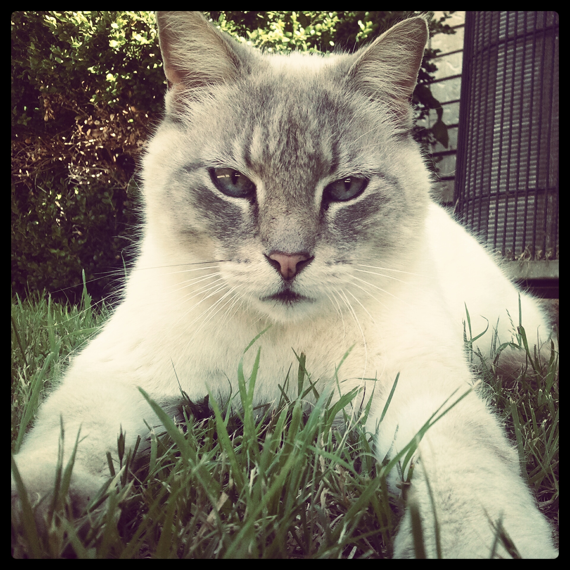 Rate My Pussy