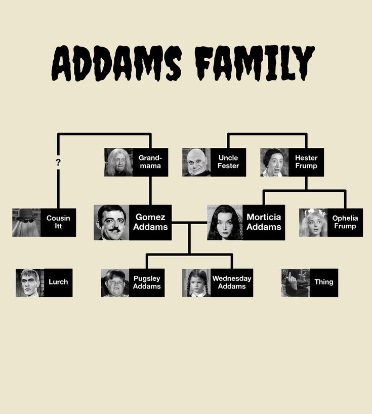 The New Addams Family 01X05 New Neighbors Meet The Addams Family The New Addams Family 01X05 New Neighbors Meet The Addams Family